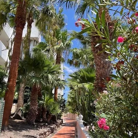 En Amarilla Golf * Σαν Μιγκέλ ντε Αμπόνα